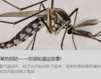 登革熱預防——你該知道這些事！