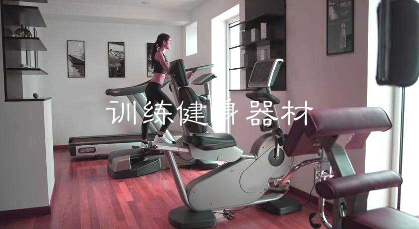 2020-2026年訓練健身器材行業(yè)市場調(diào)查研究及發(fā)展前景預測報告(圖1)